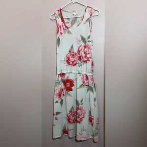 LuLaRoe Mint Green Floral Sleeveless Dress - Size Small